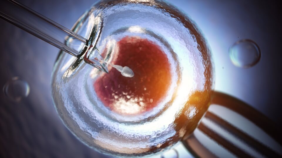 The Deep Freeze: COVID-19 Pandemic Propels Egg Freezing Demand