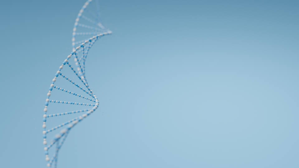 DNA helix