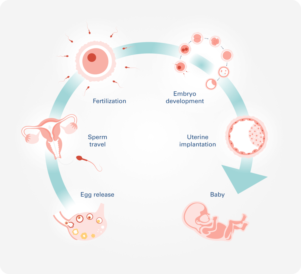 Problems With The Uterus and Fertility, Infertility