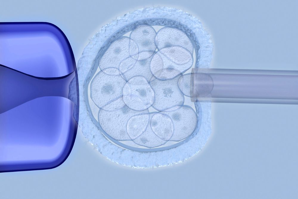 How Preimplantation Genetic Testing Detects Disease Before It’s Inherited